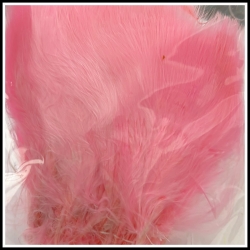 Marabou (Strung) Pink
